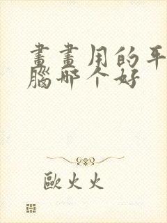 画画用的平板电脑哪个好