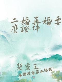 二婚再婚要带什么证件