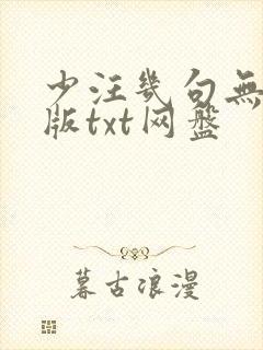 少汪几句无删减版txt网盘