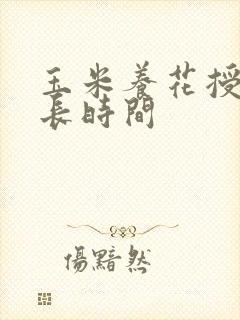 玉米养花授粉多长时间