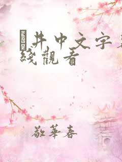 辻井中文字幕在线观看
