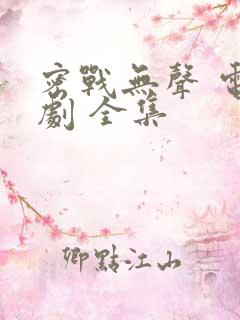 密战无声 电视剧 全集