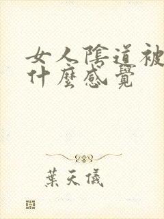 女人阴道被舔是什么感觉