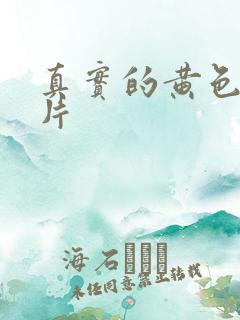 真实的黄色一级片
