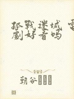 孤战迷城 电视剧好看吗