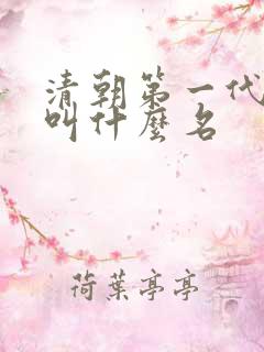 清朝第一代皇上叫什么名