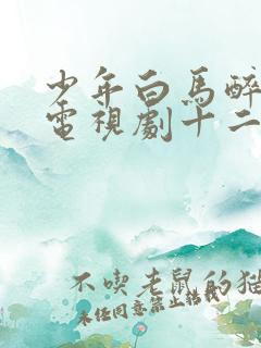 少年白马醉春风电视剧十二十三集