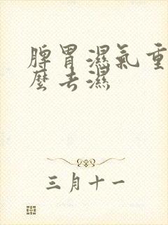 脾胃湿气重吃什么去湿