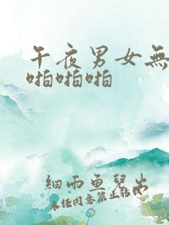 午夜男女无遮挡啪啪啪
