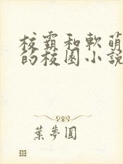 校霸和软萌女主的校园小说