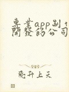 专业app制作开发的公司