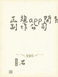 正规app开发制作公司