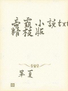 帝霸小说txt精校版