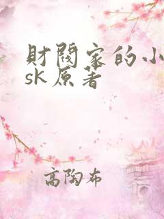 财阀家的小儿子sk原著