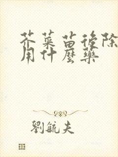 芥菜苗后除草剂用什么药