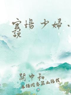 官场 少妇 小说