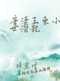 唐潇王东小说傲世潜龙