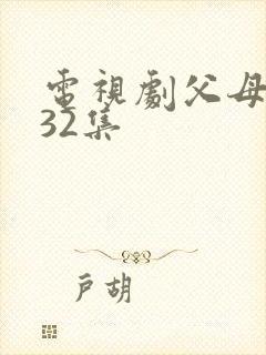 电视剧父母爱情32集