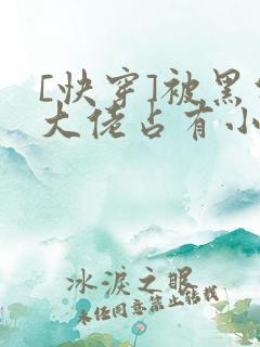 [快穿]被黑化大佬占有小说