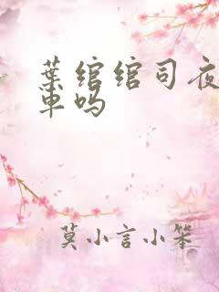 叶绾绾司夜寒有车吗