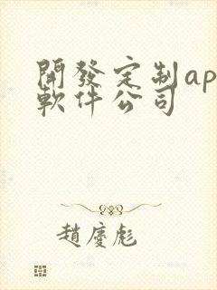 开发定制app软件公司