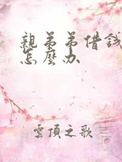 亲弟弟借钱不还怎么办