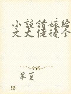 小说错嫁给年代文大佬后全本阅读