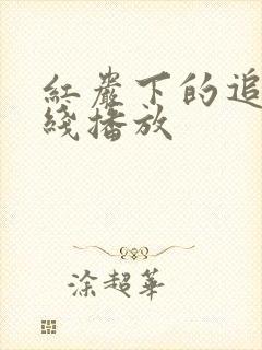红岩下的追捕在线播放