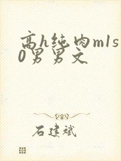 高h纯肉m1s0男男文