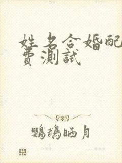 姓名合婚配对免费测试