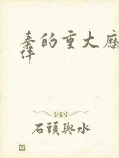 秦的重大历史事件