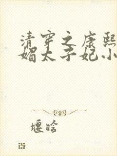清穿之康熙的娇媚太子妃小说