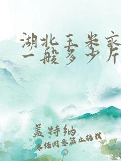 湖北玉米亩产量一般多少斤