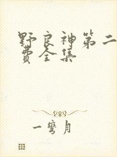 野良神第二季免费全集