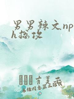 男男辣文np高h总攻