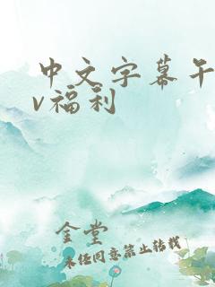中文字幕午夜av福利