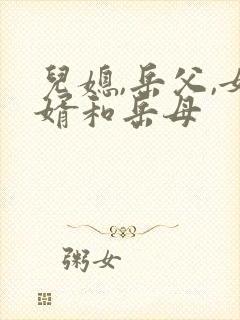 儿媳,岳父,女婿和岳母