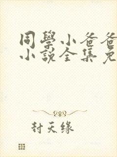 同学小爸爸李凯小说全集免费阅读