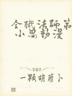 全职法师第八季 小思动漫