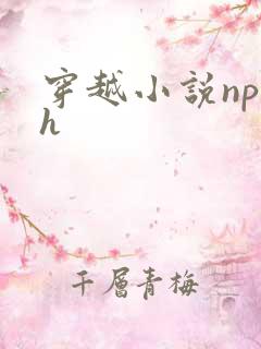 穿越小说np高h