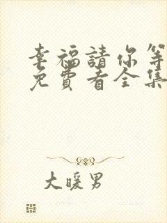幸福请你等等我免费看全集