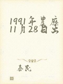 1991年农历11月28日出生八字