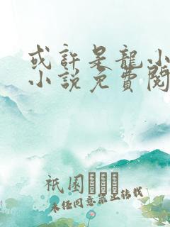 或许是龙小姐吗小说免费阅读