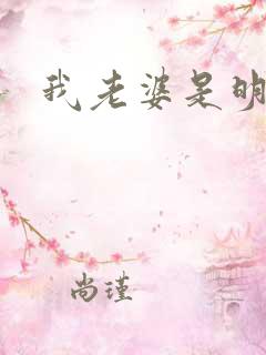 我老婆是明星