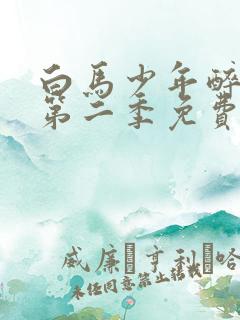 白马少年醉春风第二季免费观看高清