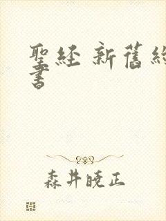 圣经 新旧约全书