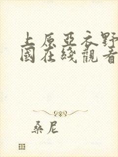 上原亚衣野性王国在线观看