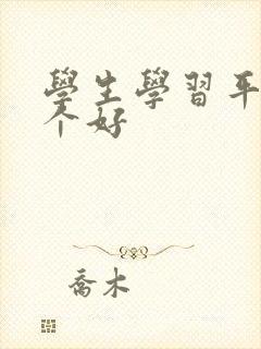 学生学习平板那个好