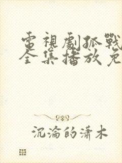 电视剧孤战迷城全集播放免费观看