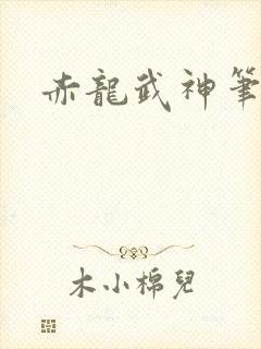 赤龙武神笔趣阁